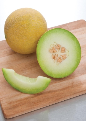 GE - Israelische Galia-Melone Àvara