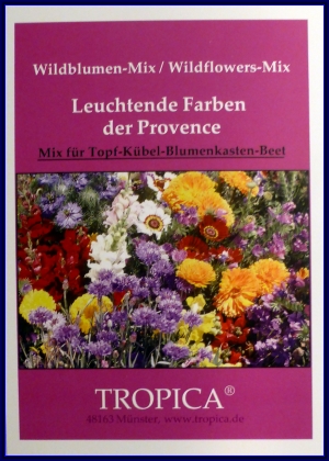 WB -Leuchtende Farben der Provence
