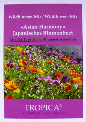 WB - Asian Harmony
