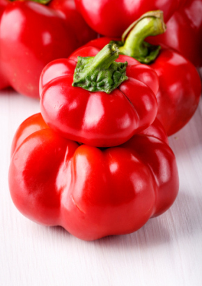 PA - Tomatenpaprika `Topepo Rosso`
