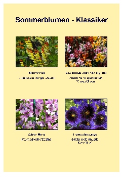 Samenset - Sommerblumen - Klassiker - 879 - 125 - 1 - 2
