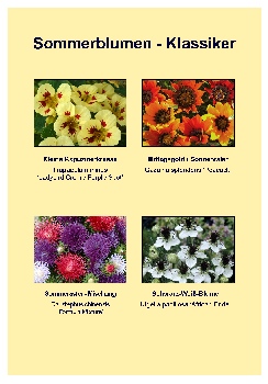 Samenset - Sommerblumen - Klassiker - 879 - 126 - 2 - 3