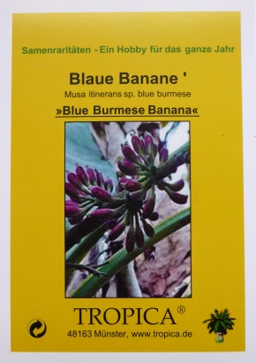 Bananen - Samenset / 7 Tüten - 1536 - 239 - 2 - 3