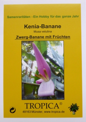 Bananen - Samenset / 7 Tüten - 1536 - 242 - 5 - 6