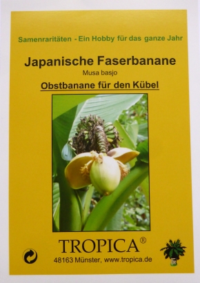 Bananen - Samenset / 7 Tüten - 1536 - 240 - 3 - 4