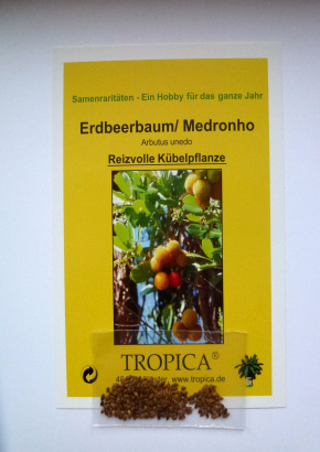 Erdbeerbaum / Medronho - 1704 - 752 - 5 - 6