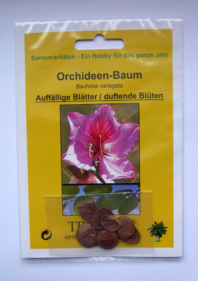 Samenset-Orchideenbäume - 1808 - 1598 - 8 - 9