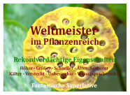 Samenset - Weltmeister im Pflanzenreich - 1818 - 1640 - 0 - 1