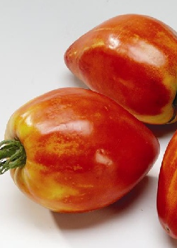 Tomate - Ochsenherz