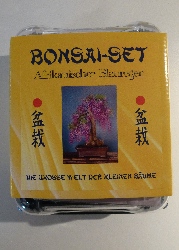 Bonsai - Afrikanischer Blauregen