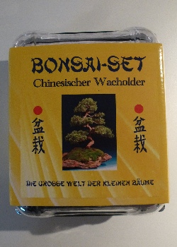 Bonsai - Chinesischer Wacholder