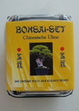 Bonsai - Chinesische Ulme