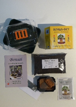 Artikel Bild: Anzucht-Set Bonsai - Bobaum