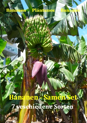 Bananen - Samenset / 7 Tüten