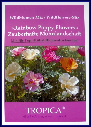 WB - Rainbow Poppy Flower
