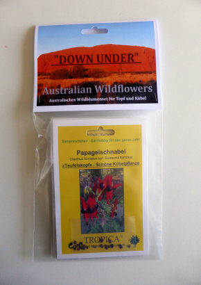 Samenset - Australische Wildblumen