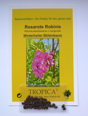 Rosarote Robinie - 1643 - 736 - 5 - 6
